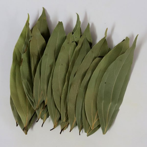Cinnamon Leaves